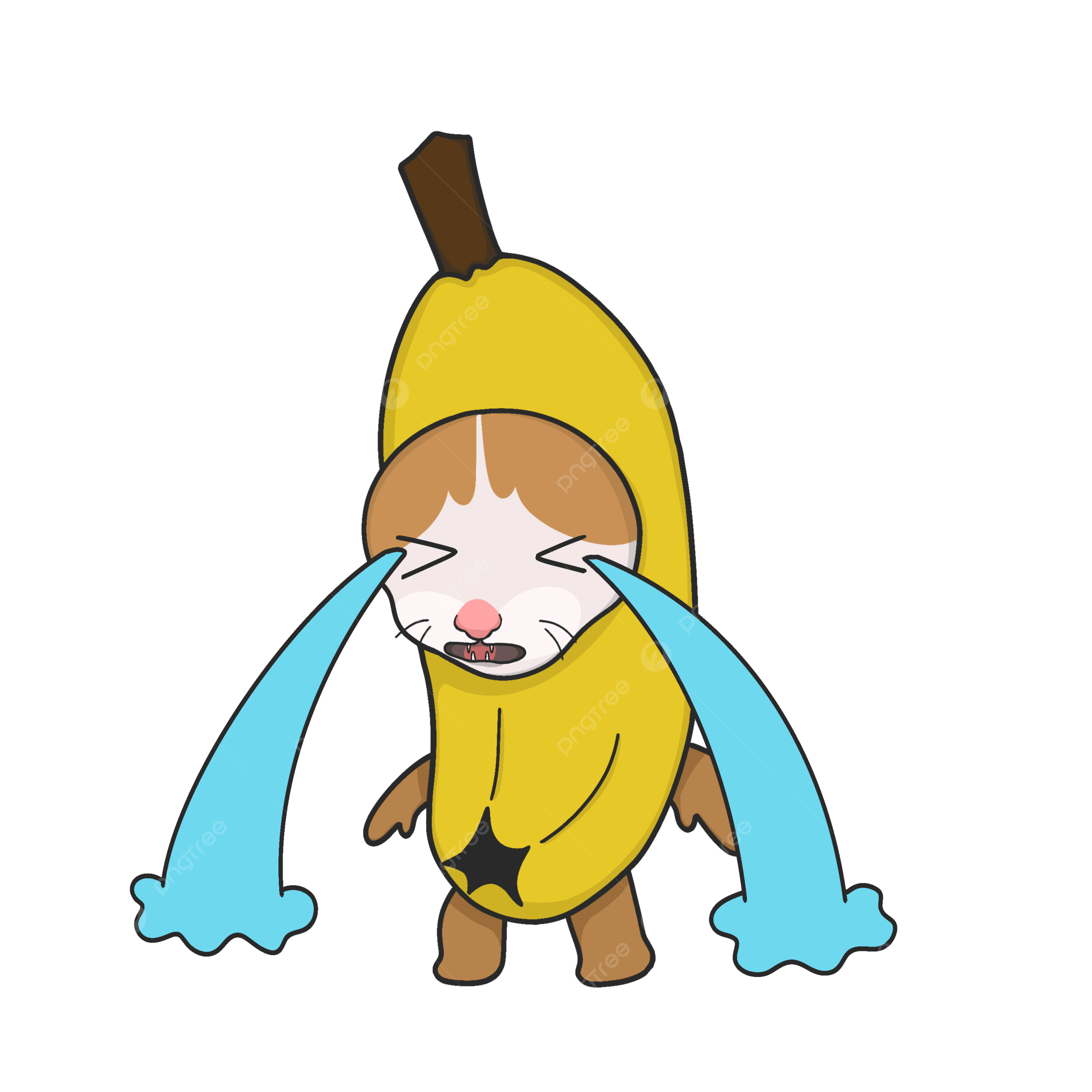 PP